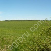 Участок 3.6 Га С/Х назначения