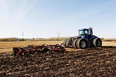 Площади сева зерновых и масличных снизились