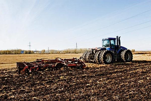 Площади сева зерновых и масличных снизились