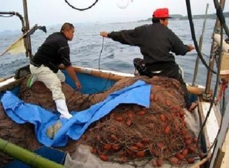 Море, богатое ресурсами, создают в Японии