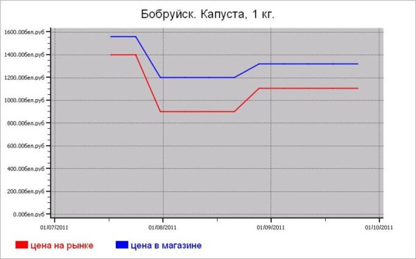 Беларусь: овощные цены Бобруйска