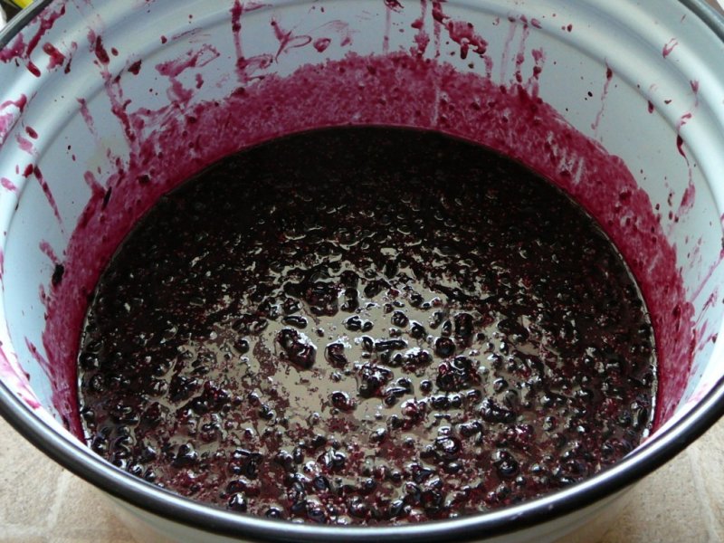 Сухое вино красное из винограда рецепт. Брожение вина на мезге. Начинающему виноделу. Приготовление вина из винограда. Сухое вино красное из винограда рецепт.