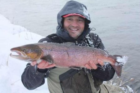 Погода и эмбарго cнизили цены на форель