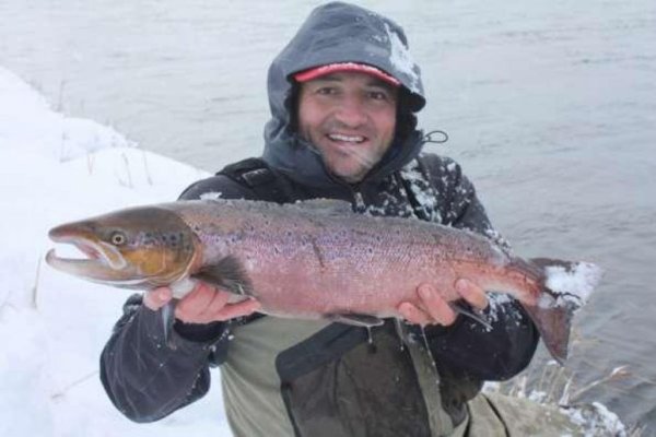 Погода и эмбарго cнизили цены на форель