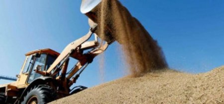 Минагропрод и участники зернового рынка подписали меморандум о взаимопонимании