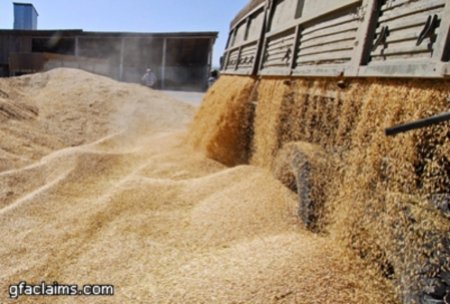 Тюменская область - донор фуражного зерна