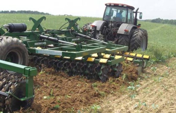 Кузбасские аграрии планируют произвести за год 1,5 млн тонн зерна