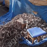 Корень элеутерокок