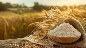 Мука пшеничная хлебопекарная высшего сорта