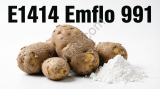 Крахмал картофельный модифицированный, горячего набухания Е1414 Emflo 991 (Emsland, Германия)