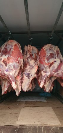Говядина на кости в полутушах/ четвертях