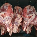 Говядина на кости в полутушах/ четвертях