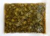 Огурцы маринованные целые и резаные перец острый маринованный халапеньо