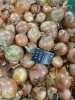 Лук репчатый(крупный) калибр 7-10см