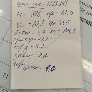 Пшеница 3 класс