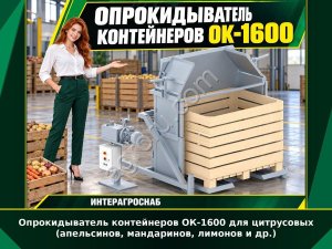 Опрокидыватель контейнеров ОК-1600 для цитрусовых (апельсинов, мандаринов, лимонов и др.)