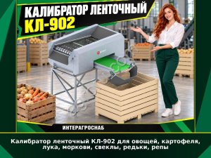 Калибратор ленточный КЛ-902 для овощей, картофеля, лука, моркови, свеклы, редьки, репы