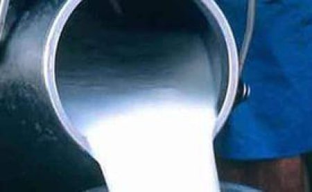 РФ и Белоруссия создадут группу по ценообразованию на молочном рынке