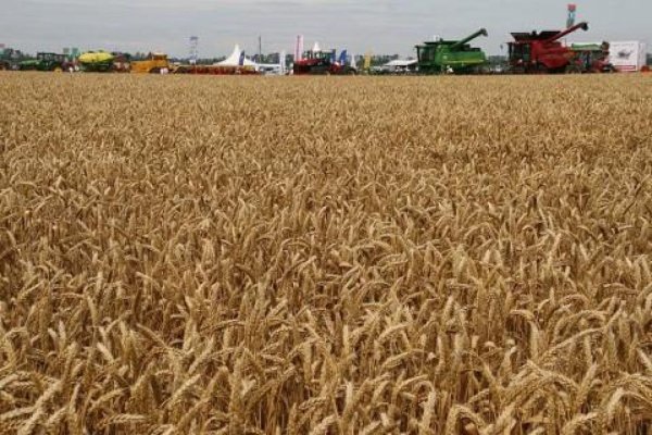 Чего опасаются украинские аграрии