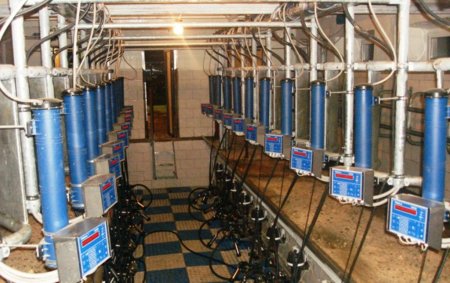 В Бежецком районе открыли первый молокоприемник