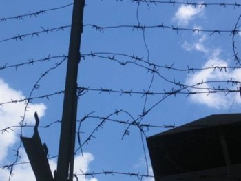 Тульские колонии могут перейти на самообеспечение овощами
