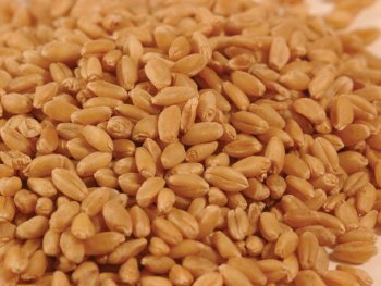 Британские фермеры разочарованы