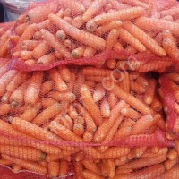 морковь немытая