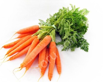 Морковь новый урожай 2020