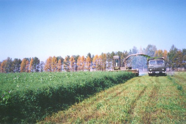 На Дону подводят итоги сезонных полевых работ
