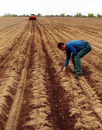 В Бурятии завершили посевную