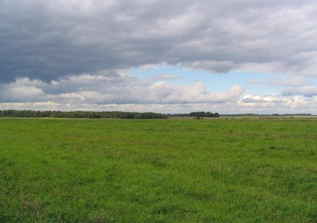 Опыт ведения экологического земледелия в СПК Росток Городецкого района Нижегородской области
