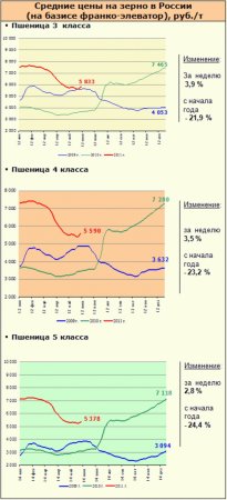Рынок зерна – текущая ситуация на 6 июня