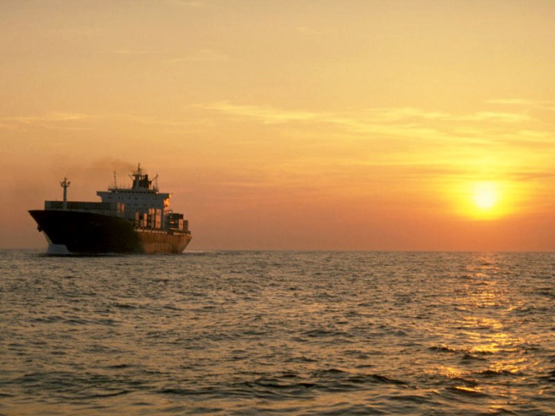 Египет: первый в сезоне тендер уверенно выиграла российская пшеница