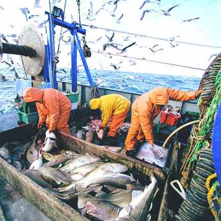 ООО Прибрежный лов лишили квот