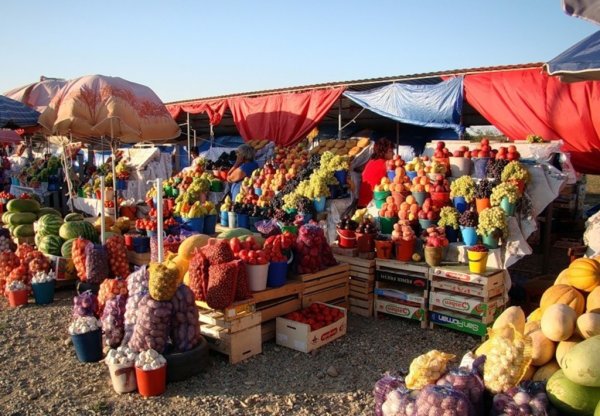 Кубанские овощи и фрукты будут отправлять на Дальний Восток