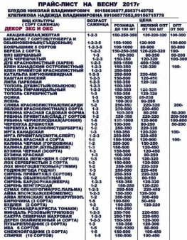 саженцы декоративных культур