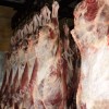 Мясо-говядина быки молодняк  в полутушах