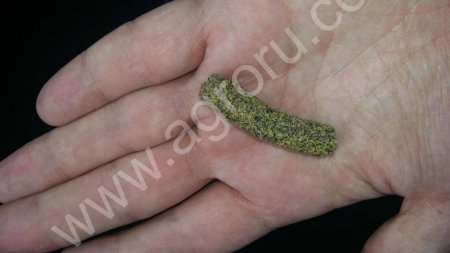 рапсовое масло, холодного отжима.