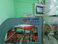 Машина для формирования пакета, розлива и запаивания. Модель: HFFS-Series