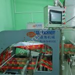 Машина для формирования пакета, розлива и запаивания. Модель: HFFS-Series