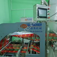 Машина для формирования пакета, розлива и запаивания. Модель: HFFS-Series