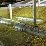 Вентиляционные каналы (вентканалы) для овощехранилищ