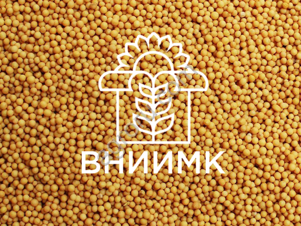 Семена яровой горчицы ВНИИМК
