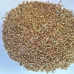 Крупа гречневая