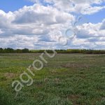 Земля Сельхоз назначения, Промышленного назначения