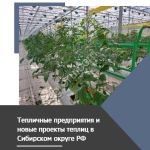 Полная база промышленных и фермерских теплиц Сибири с контактами и показателями
