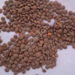 Чечевица красная