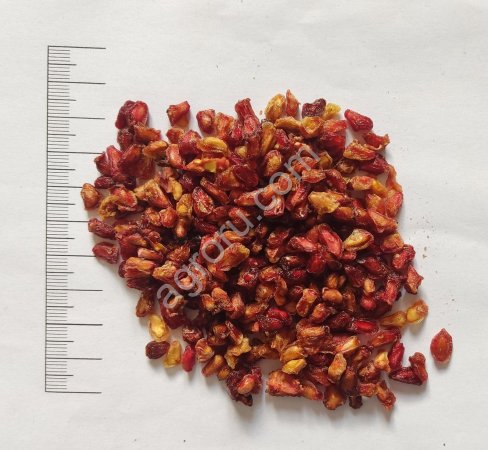 Гранат плод