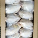 Курица суповая (несушка) 1 сорт