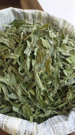 Кипрей Лист Зеленый